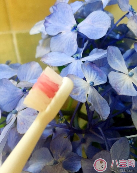 寶寶刷牙用什么牙刷好 sidda兒童智能牙刷測(cè)評(píng)