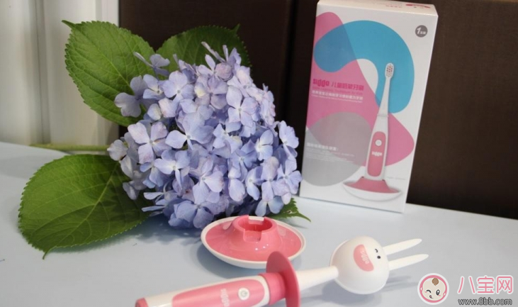 寶寶刷牙用什么牙刷好 sidda兒童智能牙刷測(cè)評(píng)