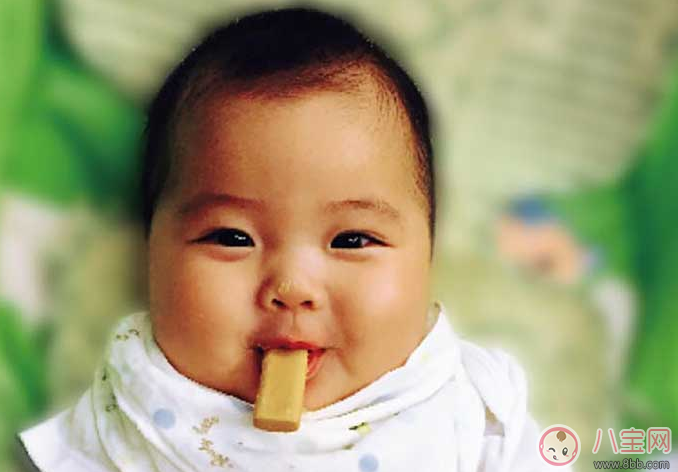 寶寶多大吃磨牙餅干 磨牙餅干幾個月開始吃