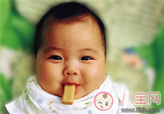 寶寶多大吃磨牙餅干 磨牙餅干幾個(gè)月開(kāi)始吃