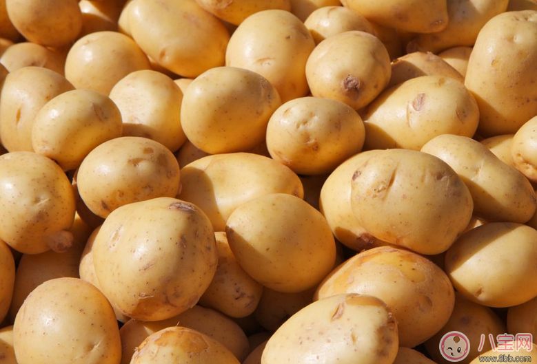 孩子早餐適合吃什么     發(fā)酵類食品推薦