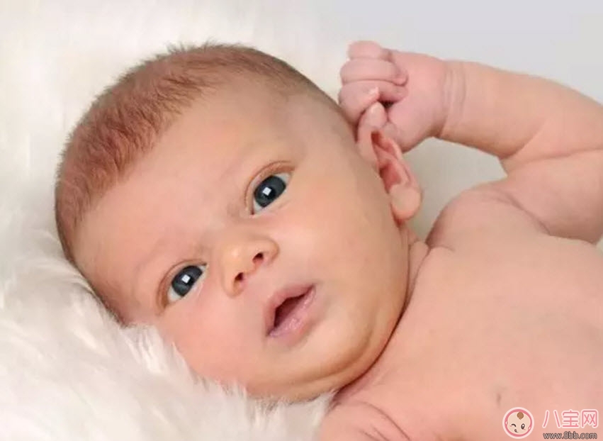 寶寶喜歡摸自己耳朵是怎么回事 四個月寶寶經(jīng)常用手抓耳什么原因 寶寶喜歡摸自己耳朵是怎么回事 四個月寶寶經(jīng)常用手抓耳什么原因