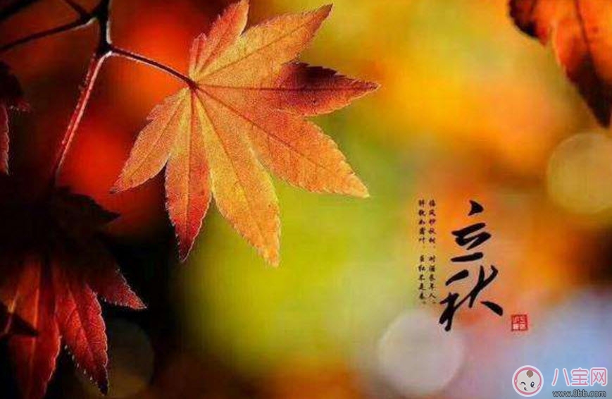 嬰兒立秋后注意哪些措施 嬰兒立秋后的注意事項有哪些