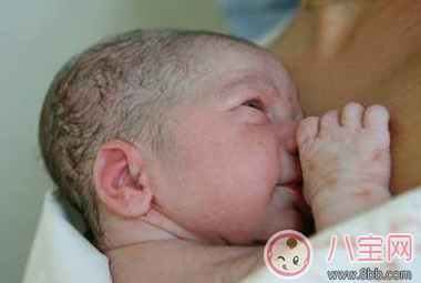 新生兒鼻尖上起了好多小白點(diǎn)是什么 寶寶鼻子上有小白點(diǎn) 新生兒鼻尖上起了好多小白點(diǎn)是什么 寶寶鼻子上有小白點(diǎn)