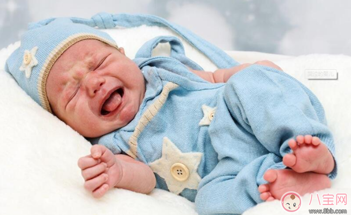 母乳和配方奶哪個好 混合喂養(yǎng)更靠譜