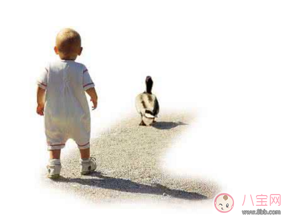 孩子過早走路危害大 什么時候教孩子走路好