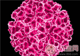 秋季如何預(yù)防腸病毒  腸病毒的危害知多少