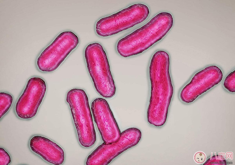 嬰兒沙門氏菌中毒的原因  如何預(yù)防寶寶感染沙門氏菌