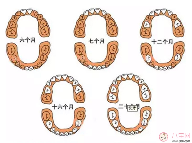 寶寶長牙慢是缺鈣嗎 寶寶長牙與補(bǔ)鈣的關(guān)系