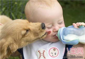 牛奶和配方奶 1歲后到底該喝什么