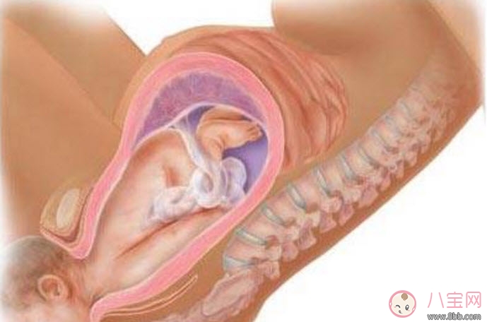 新生兒打針不哭正常嗎 寶寶打針不哭可能是觸覺遲鈍