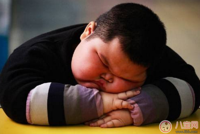 小孩肥胖的危害有哪些 2017兒童肥胖問題大全