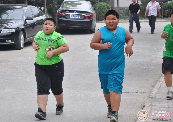 小孩肥胖的危害有哪些 2017兒童肥胖問題大全