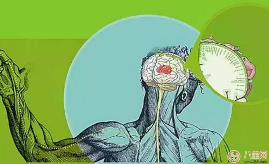 孩子觸覺遲鈍怎么辦 寶寶觸覺遲鈍訓(xùn)練方法有哪些