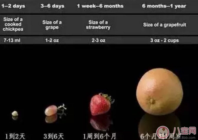 0-12月寶寶奶量標準 早產兒每日需要多少奶量 0-12月寶寶奶量標準 早產兒每日需要多少奶量