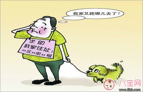 如何降低癡呆風(fēng)險 日常生活應(yīng)該怎么做