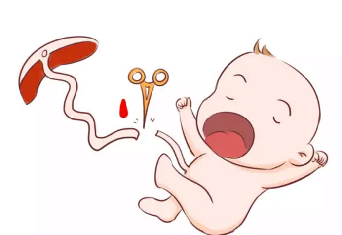 寶寶臍帶血有必要保存嗎 寶寶的臍帶血應(yīng)該如何處理 寶寶臍帶血有必要保存嗎 寶寶的臍帶血應(yīng)該如何處理