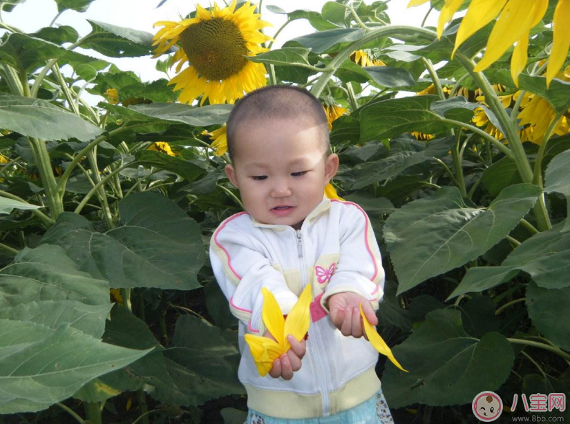 孩子一不聽(tīng)話就打屁股 孩子不聽(tīng)話的幾率會(huì)更高