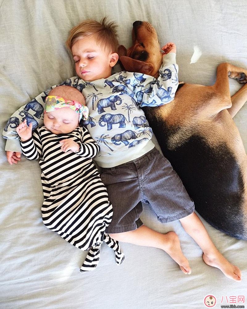 寶寶被各種寵物抓咬傷的緊急處理措施