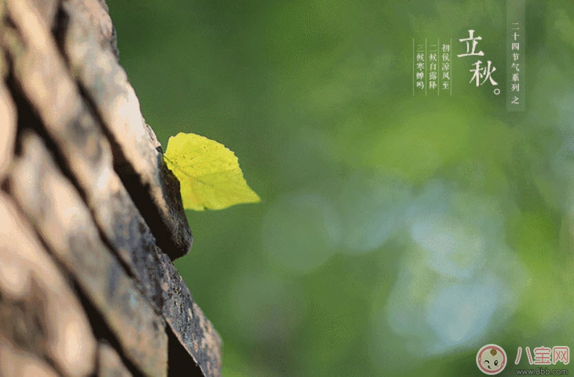 立秋之后寶寶還能吹空調(diào)嗎 立秋后寶寶如何健康的吹空調(diào)