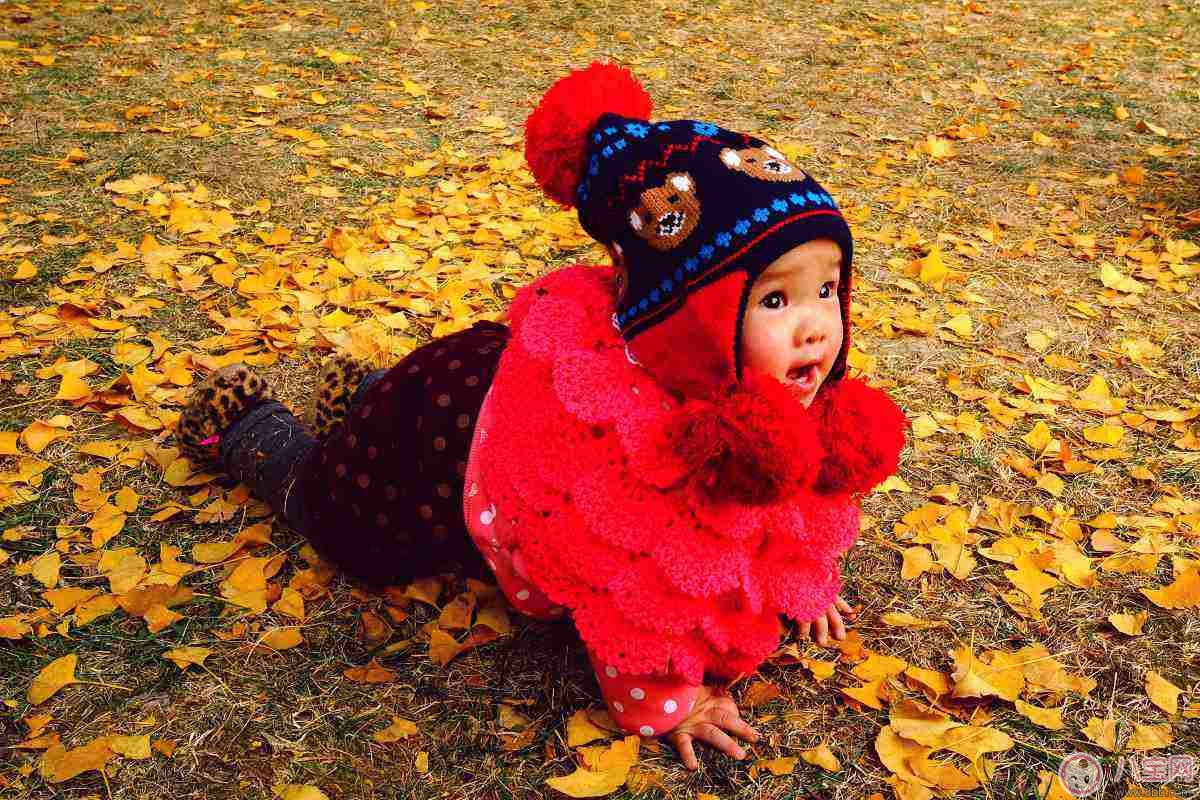 秋季預(yù)防寶寶感冒10大要點