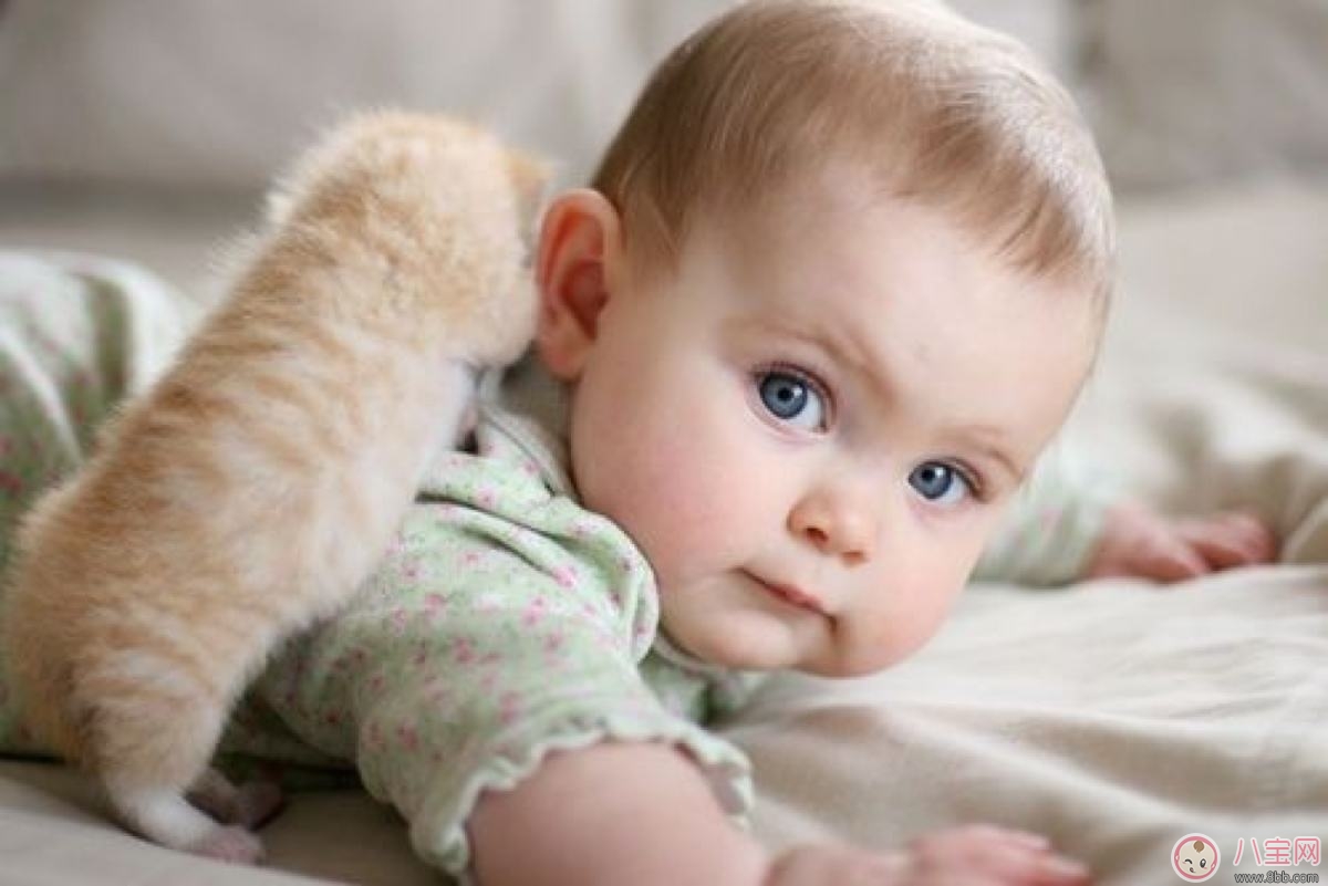 寶寶穿衣學(xué)問(wèn)大 挑選衣物要謹(jǐn)慎