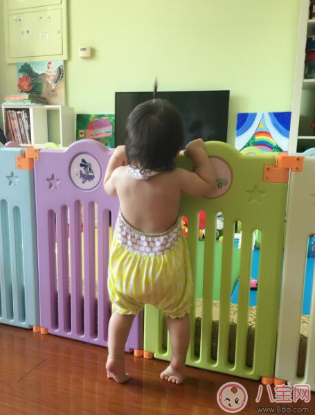 趙文卓luna寶寶學(xué)會(huì)走路 孩子走路怎么教