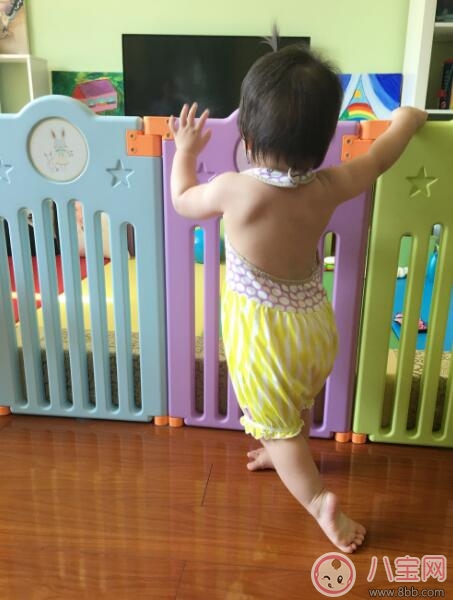 趙文卓luna寶寶學(xué)會(huì)走路 孩子走路怎么教