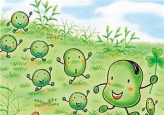 嬰兒蠶豆病是什么原因引起的 小兒蠶豆病的治療怎么做