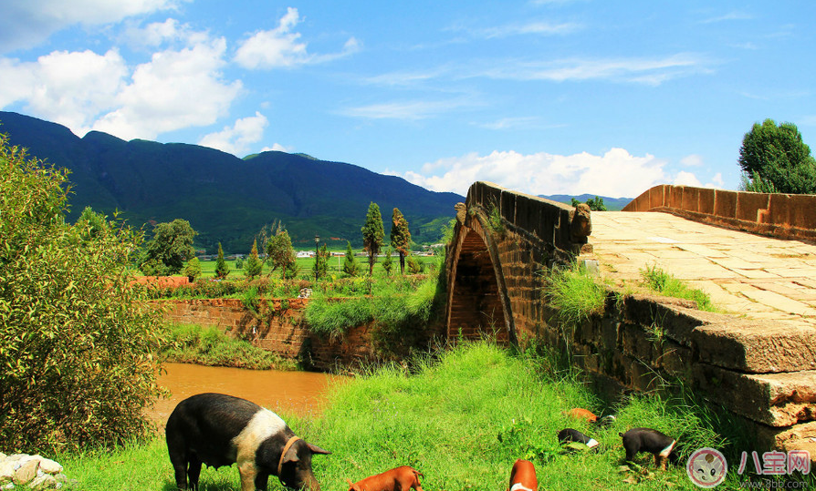 田亮森碟現(xiàn)身機場出行游玩 一家人出行需要準備什么