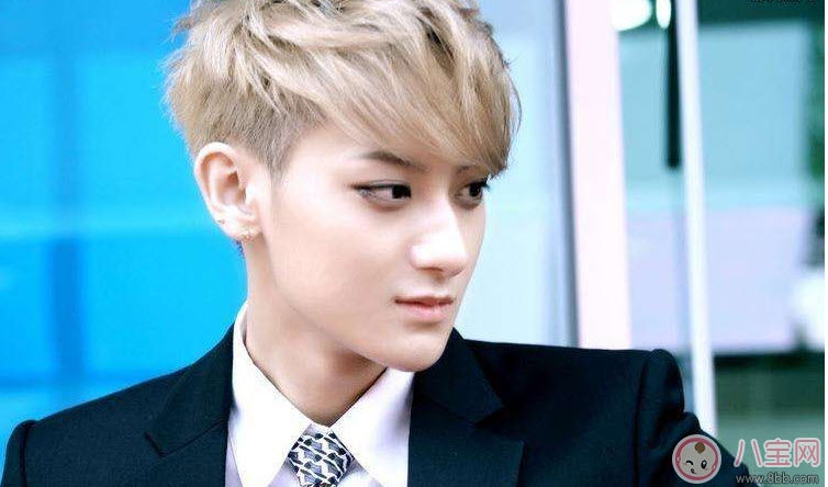 爸爸去哪兒5候選實習(xí)爸爸人氣榜，實習(xí)奶爸黃景瑜任嘉倫竇驍(前三)