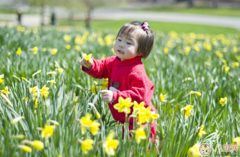 孩子暑假怎么安排 小朋友怎么過暑假比較好
