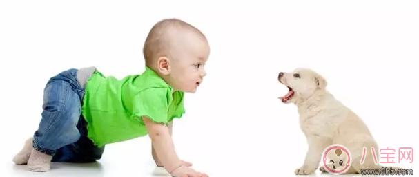 寶寶爬行怎么教 教會寶寶爬行小技巧