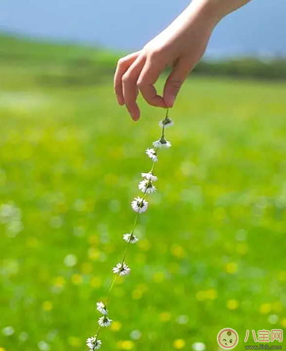 國(guó)慶節(jié)出游如何拍好一張萌寶照 怎么曬娃更加的有創(chuàng)意