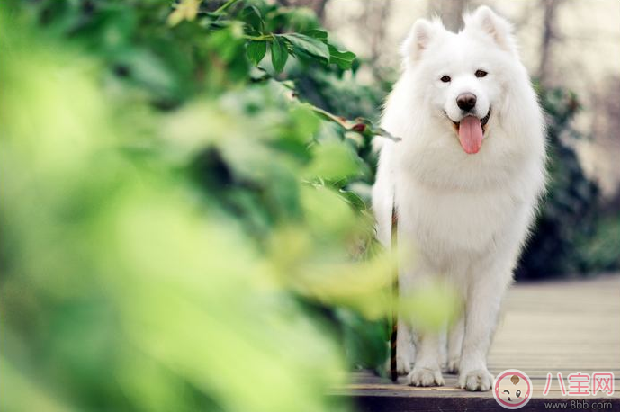 孩子自卑沒自信怎么辦 孩子沒自信如何幫他克服