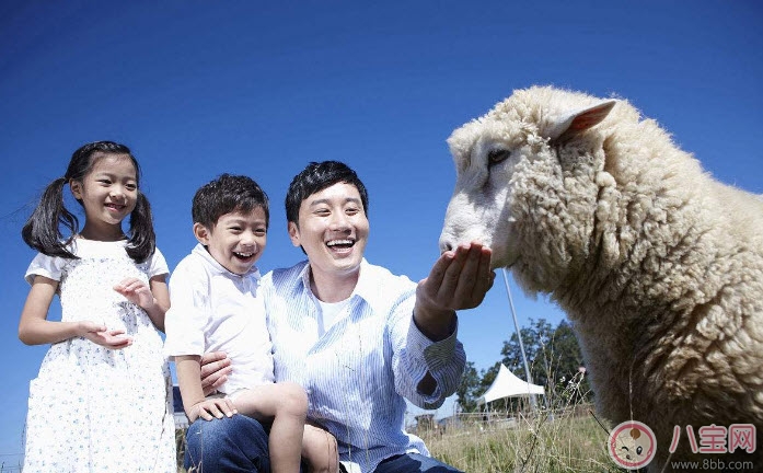 適合爸爸讀的胎教故事 準爸爸胎教的方式有哪些