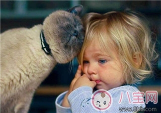 寶寶是熊孩子怎么辦？如何教育孩子不要妨礙他人呢？