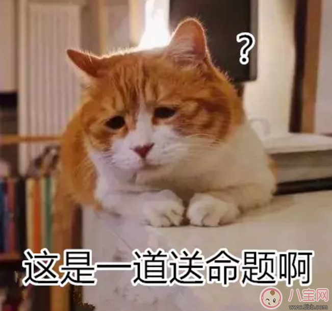 寶寶是熊孩子怎么辦？如何教育孩子不要妨礙他人呢？