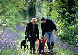 趙薇如何教育出乖巧小四月？趙薇的育兒經(jīng)是什么？