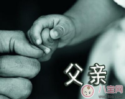 爸爸去哪兒開播 父親在教育過(guò)程中應(yīng)該扮演怎樣的角色 爸爸去哪兒開播 父親在教育過(guò)程中應(yīng)該扮演怎樣的角色
