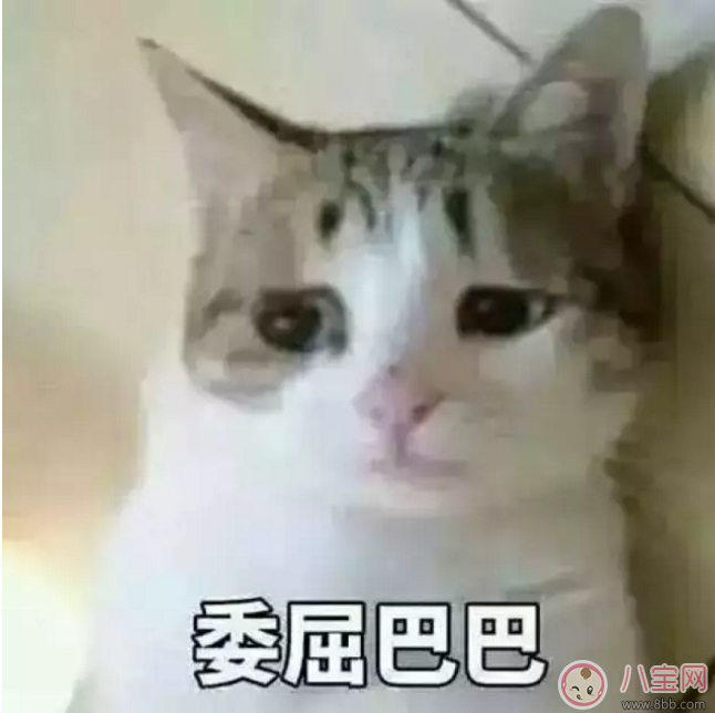 半數(shù)孩子不會(huì)剝殼 如何鍛煉孩子的自理能力