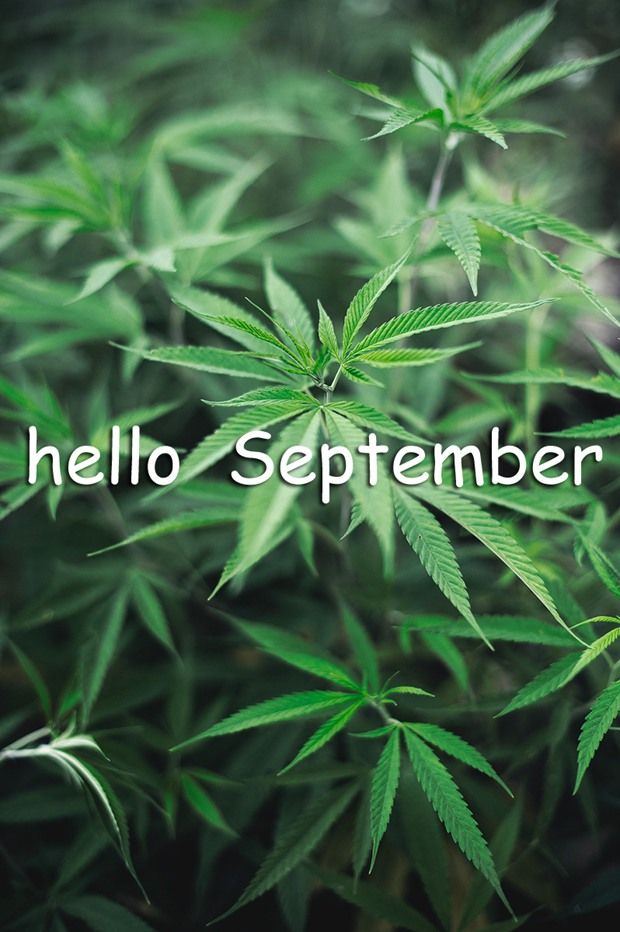 八月再見九月你好說說朋友圈 八月再見九月你好帶九月字圖片