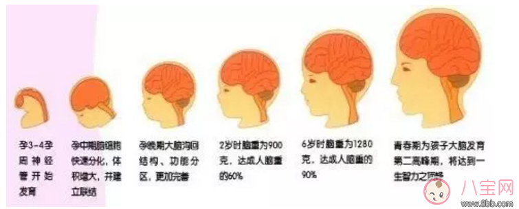 寶寶看電視的影響 如何規(guī)定寶寶看電視的時機