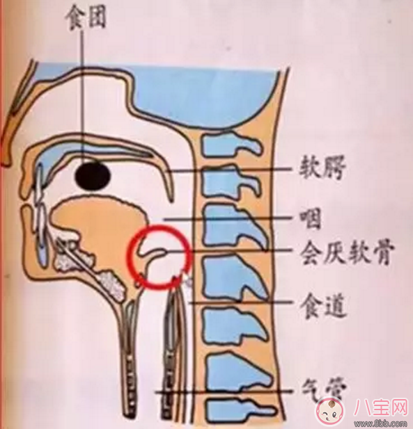 寶寶吃飯時(shí)爸爸的這個(gè)舉動(dòng) 險(xiǎn)些讓他送命！