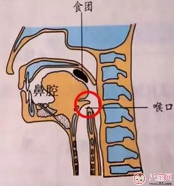 寶寶吃飯時(shí)爸爸的這個(gè)舉動(dòng) 險(xiǎn)些讓他送命！