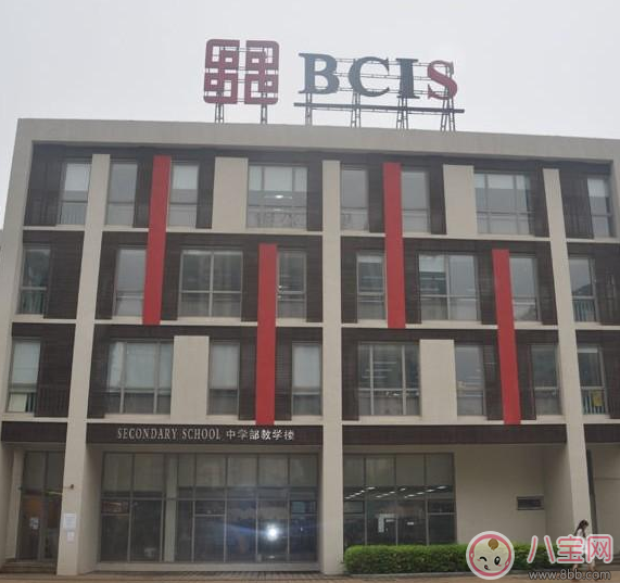 安吉上學了眼睛居然有點濕潤 安吉上學去的哪個學校