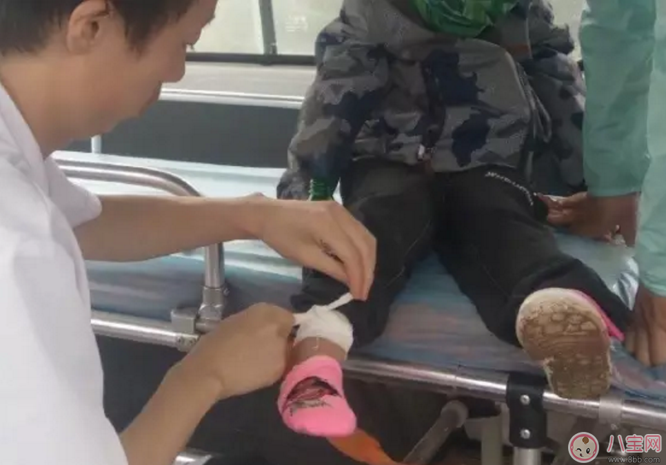 樂嘉帶4歲女兒穿越沙漠徒步76公里 女兒腿上發(fā)滿皰疹