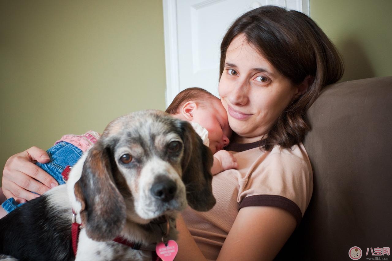 《放開(kāi)我北鼻》Jackson性格  正確看待孩子的嫉妒