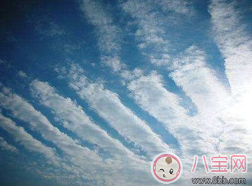 地震孩子如何自救 爸爸媽媽不在身邊怎么保護(hù)自己 地震孩子如何自救 爸爸媽媽不在身邊怎么保護(hù)自己