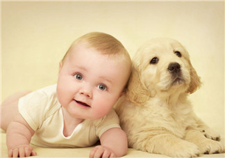 寶寶自閉癥怎么辦  如何讓自閉癥寶寶健康成長(zhǎng)